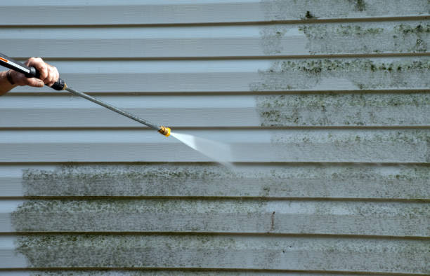 Trusted Henagar, AL  Pressure Washing Services Experts